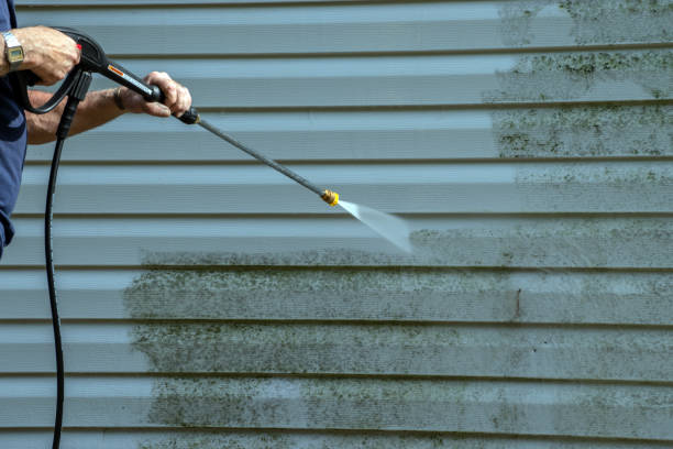 Best Gutter Cleaning  in Woodlake, CA